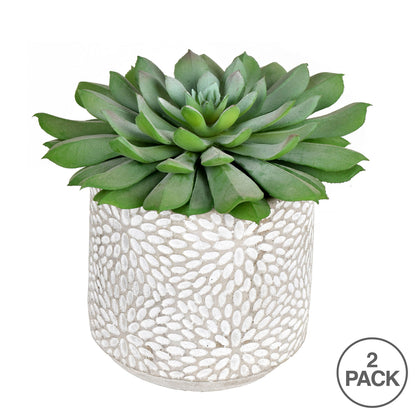 Vickerman 6" Artificial Green Potted Succulent Pack of 2