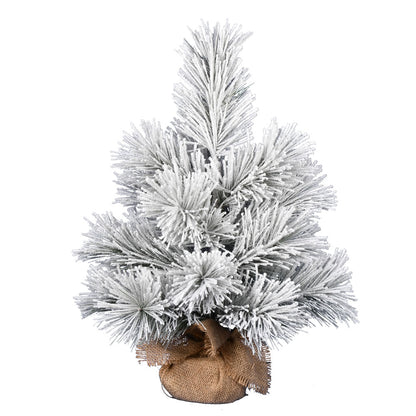 Vickerman 24" Frosted Beckett Pine Artificial Christmas Tree Unlit