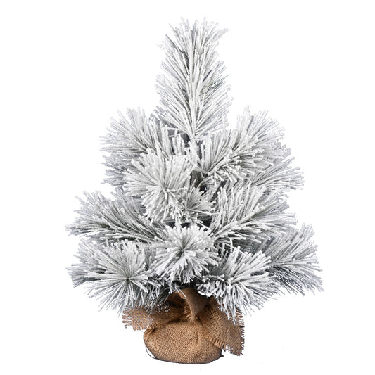 Vickerman 24" Frosted Beckett Pine Artificial Christmas Tree Unlit
