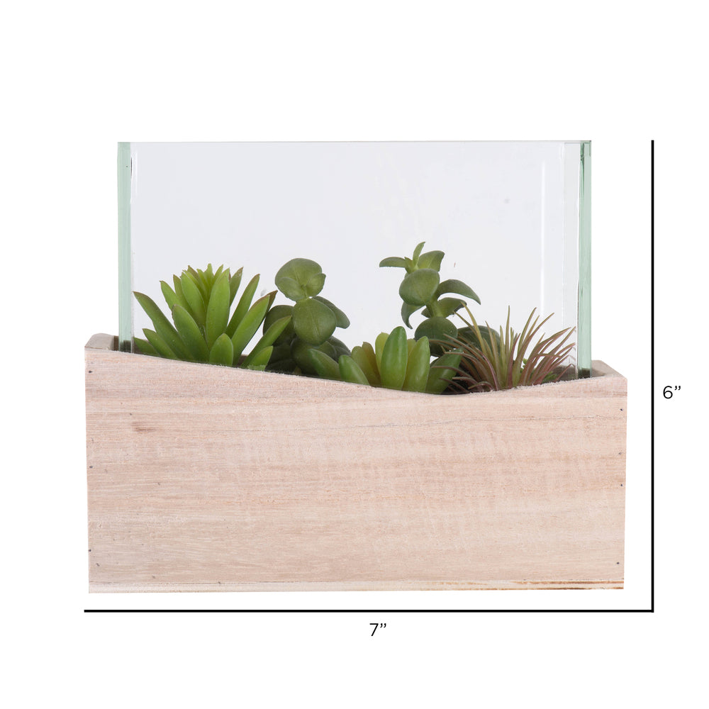 Vickerman 6" Artificial Green Assorted Succulents in Wood Container and Glass Top.