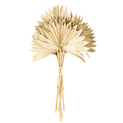 Vickerman Natural Botanicals 20" Natural Palm Sun Stem. Includes 12 Pieces per Bunch.