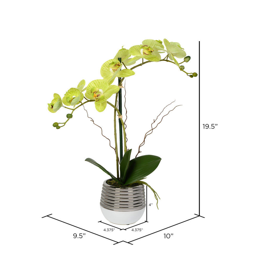 Vickerman 19.5" Artificial Green Phalaenopsis In Metal Pot.