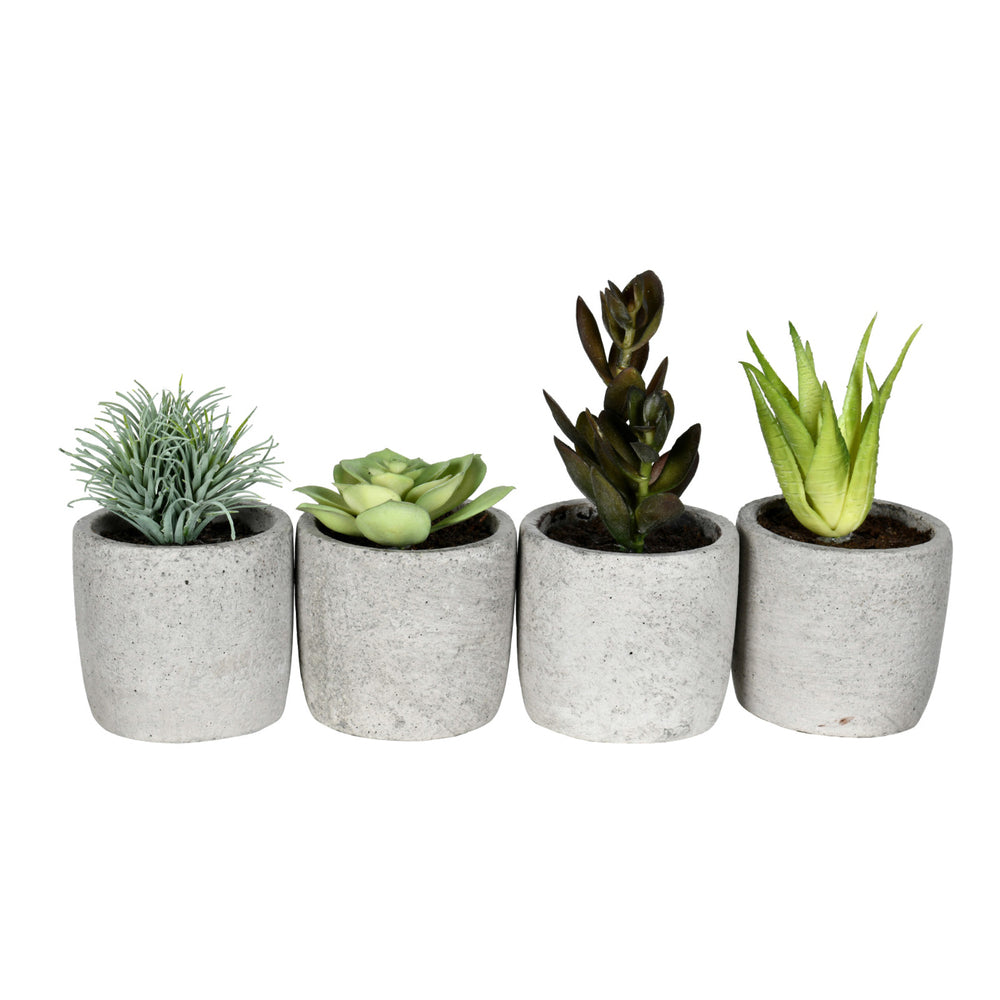Vickerman 6" Artificial Assorted Potted Succulents Set of 4.