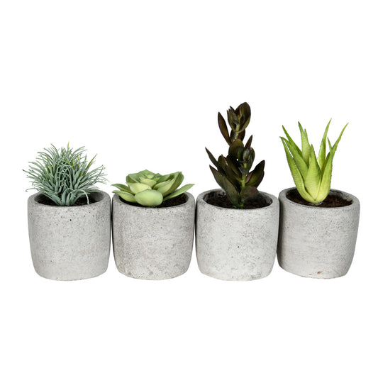 Vickerman 6" Artificial Assorted Potted Succulents Set of 4.