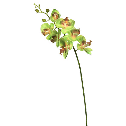 Vickerman 35" Green Real Touch Orchid Artificial Floral Stem