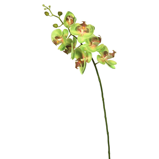 Vickerman 35" Green Real Touch Orchid Artificial Floral Stem