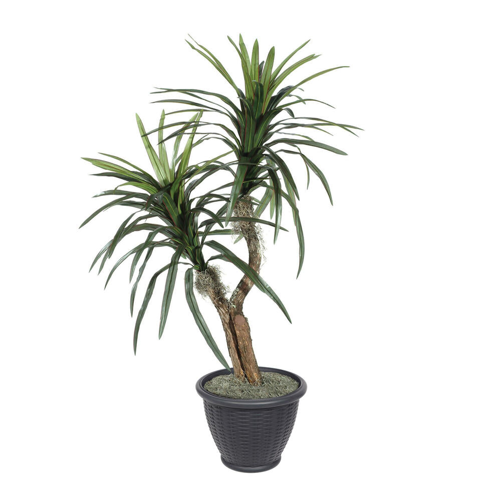 Vickerman 4' Artificial Marginata Bush Gray Round Plastic Container.