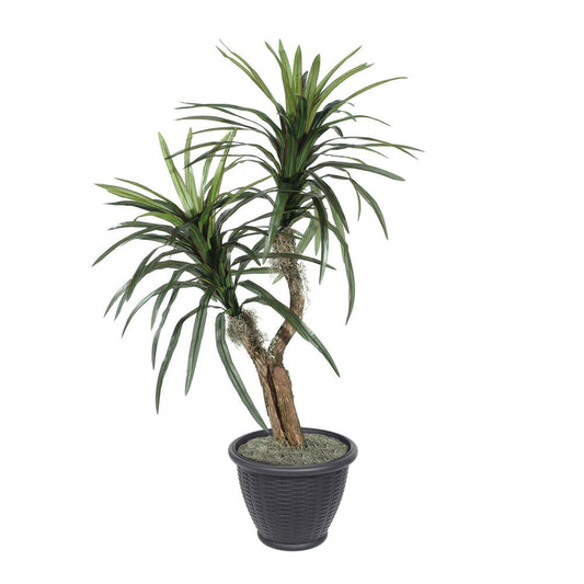 Vickerman 4' Artificial Marginata Bush Gray Round Plastic Container.