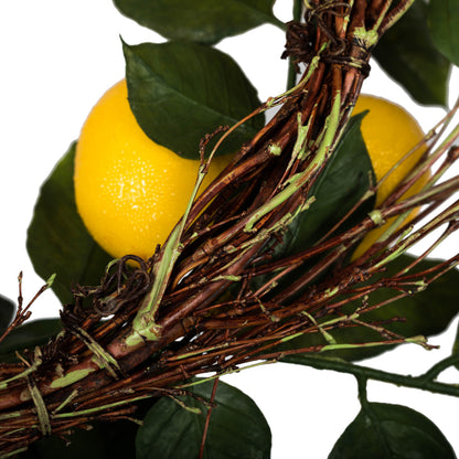 Vickerman 24" Artificial Green and Yellow Salal Leaf Lemon Wreath.