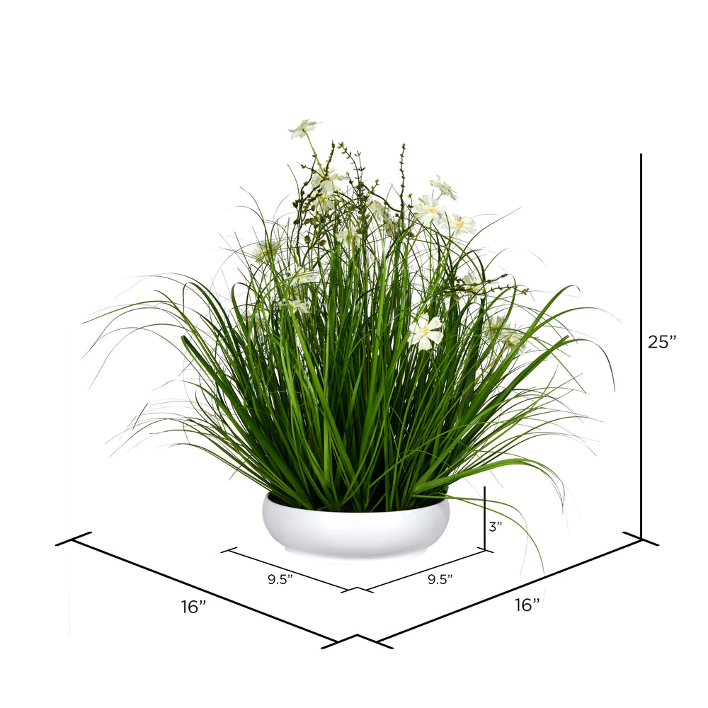 Vickerman 25" Artificial Potted Cream Cosmos and Green Grass in White Plastic Pot.