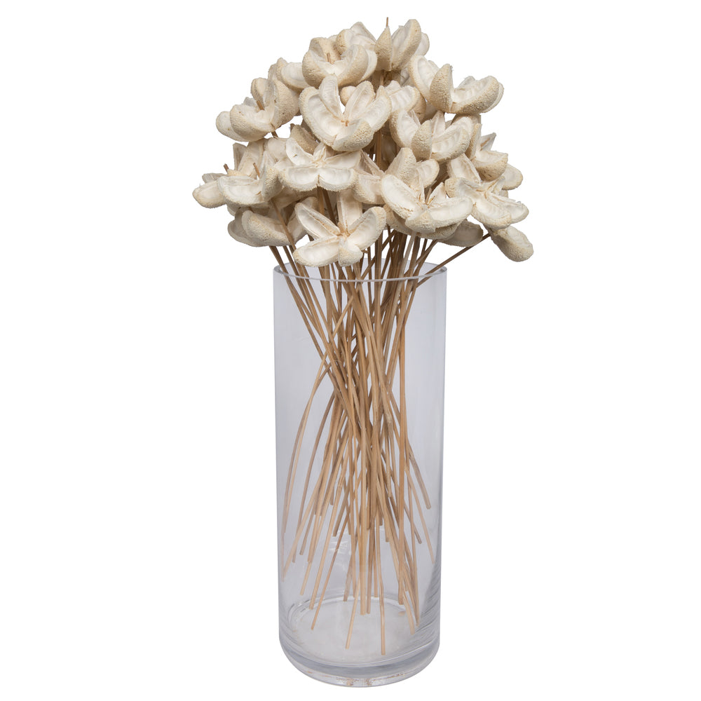 Vickerman Natural Botanicals 20" Bullet Flower Bleached on Stem. Includes 50 Stems per pack.