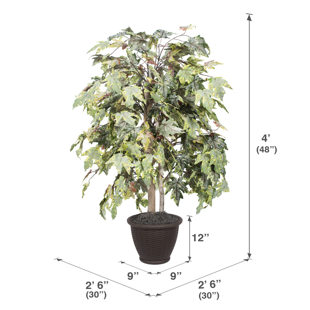 Vickerman 4' Artificial Frosted Maple Bush Brown Plastic Container.