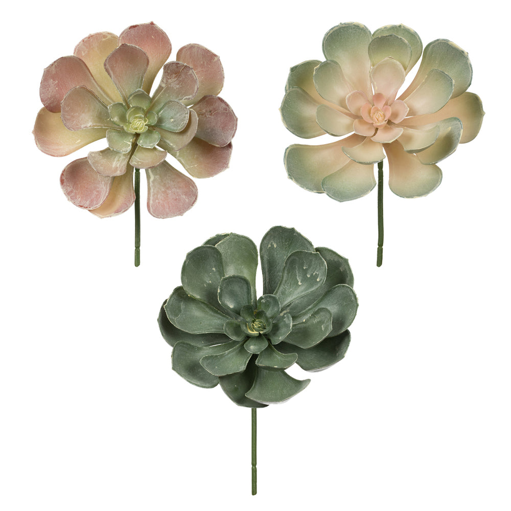 Vickerman 8.5" Artificial Assorted Echeveria Stems 6 per Bag