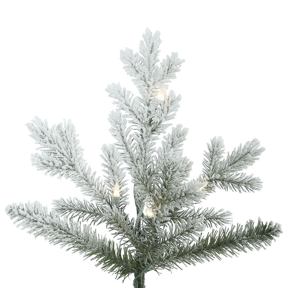 Vickerman 6.5' Frosted Eastern Fraser Fir Artificial Christmas Tree Clear Dura-lit Lights