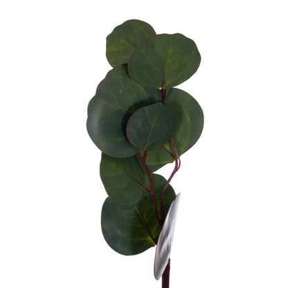 Vickerman 60" Artificial Green Silver Dollar Populus Eucalyptus Garland