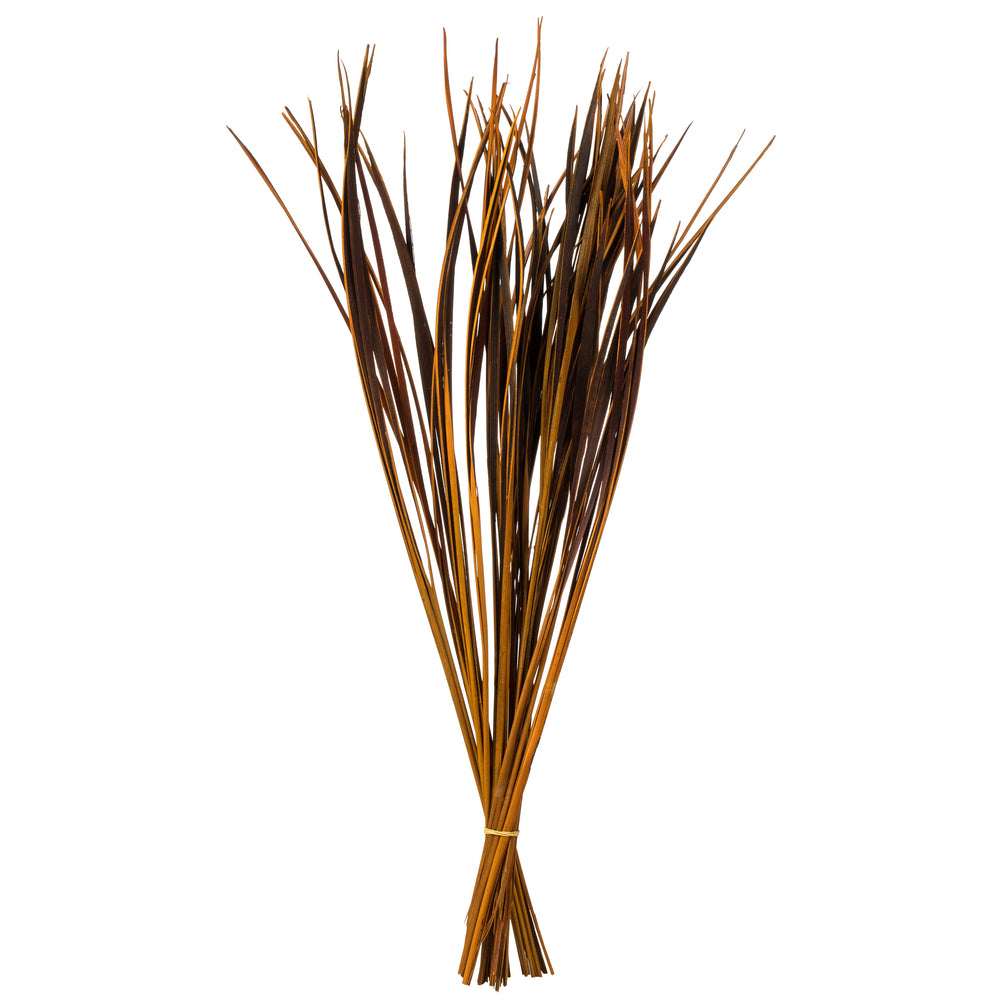 Vickerman 28" Aspen Gold Splinter Grass 11 oz Bundle Dried