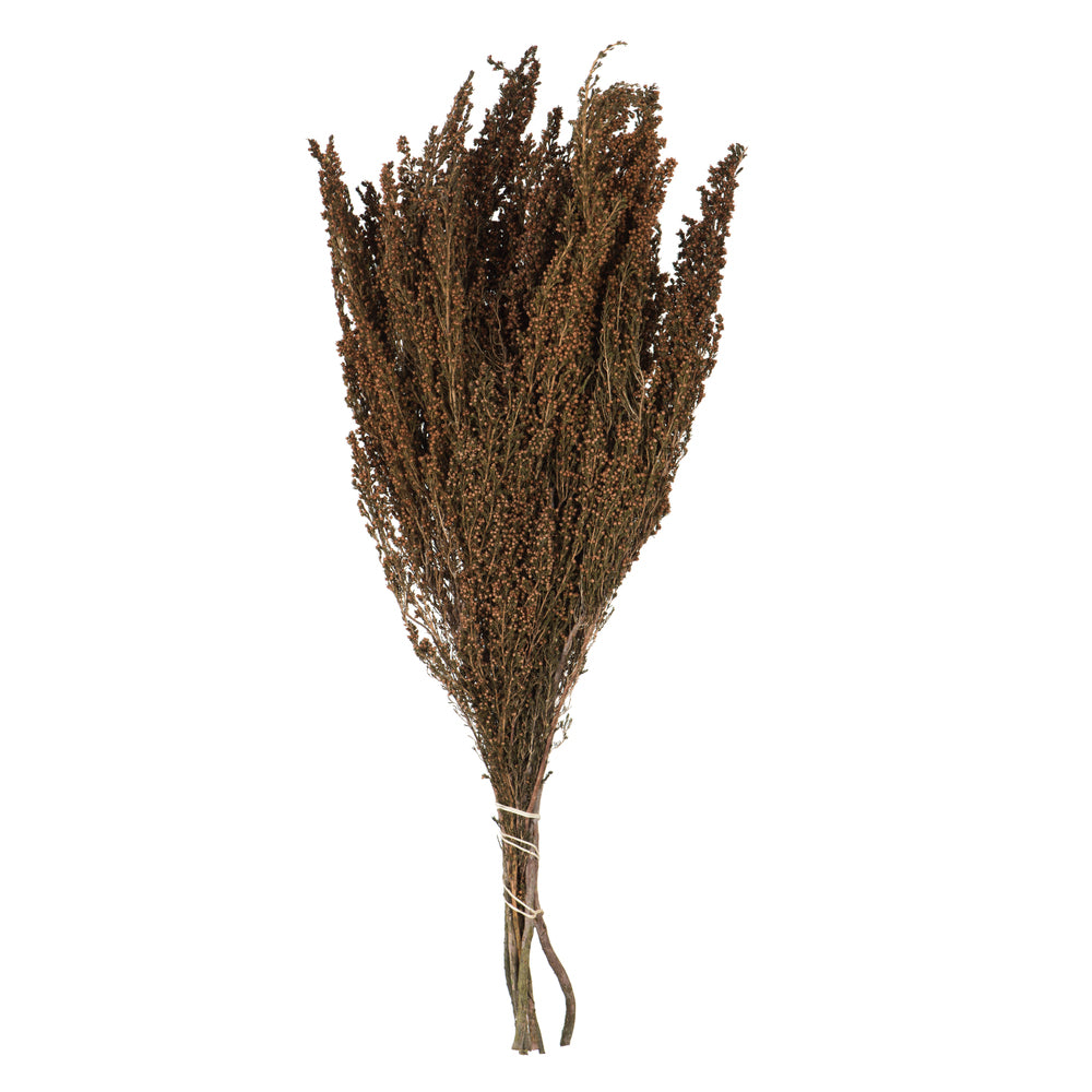 Vickerman 18-20" Brown Heather - 4-5 oz Bundle Preserved