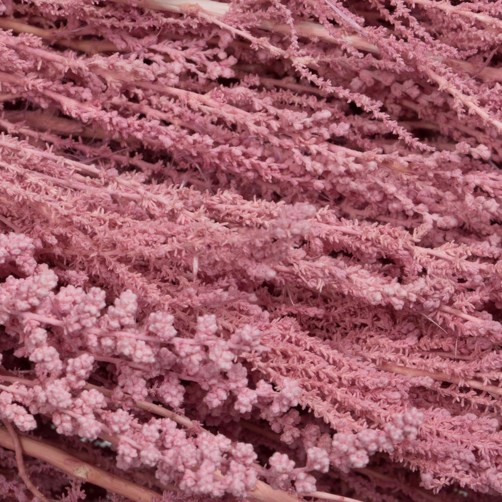 Vickerman 14-18" Coral Stoebe Bundle.  Comes 3.5 oz per bundle.