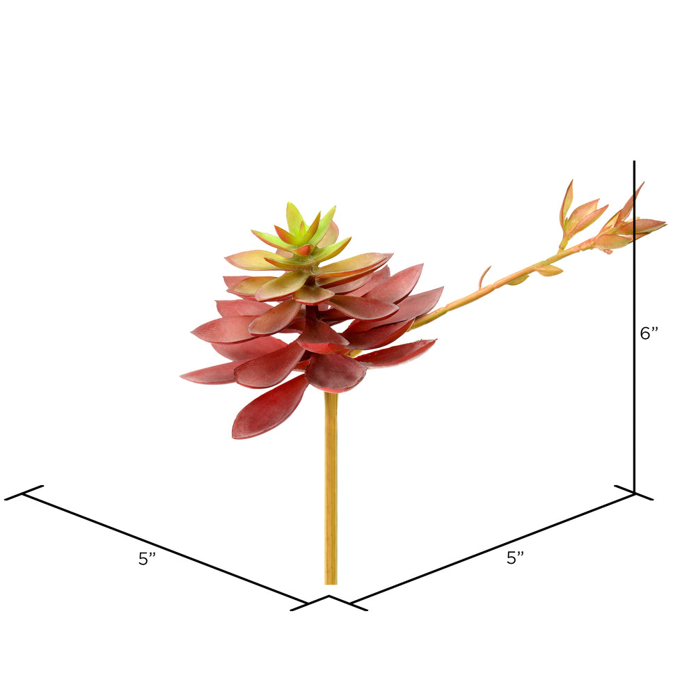 Vickerman 6" Artificial Black Prince Echeveria Pick Set of 3