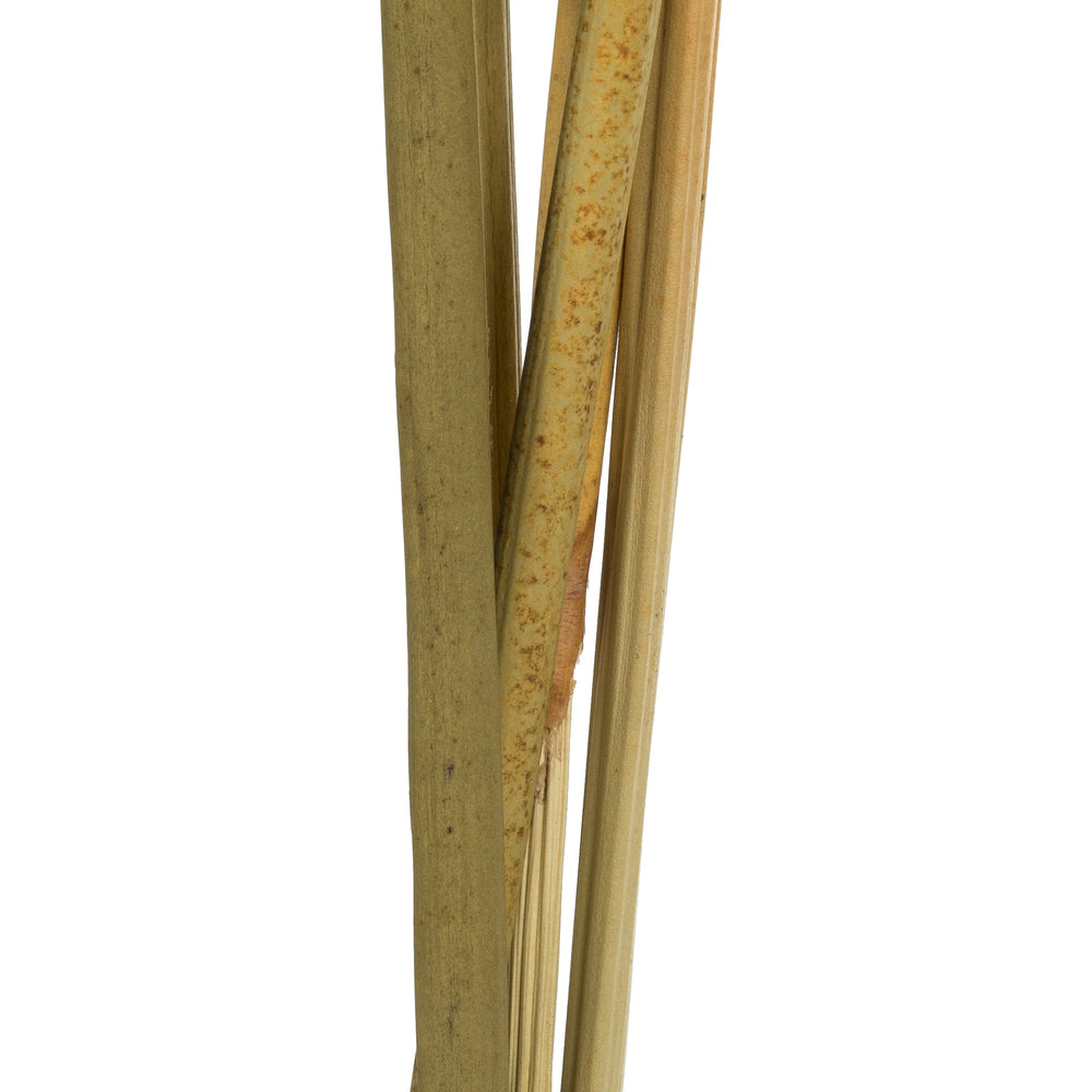 Vickerman 15"  Aspen Gold Artichokes on Reed Stems 5 stems Dried