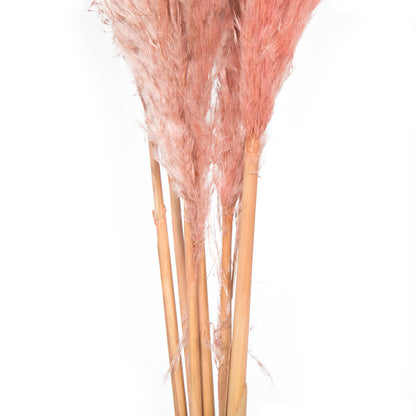 Vickerman 46" Dried Dusty Rose Pampas Grass 6 pack. It includes two stems. Recommended for Indoor.