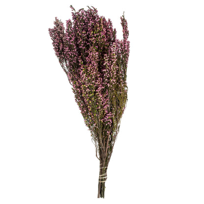 Vickerman 18-20" Pink Heather (Erica) - 4-5 oz Bundle Preserved