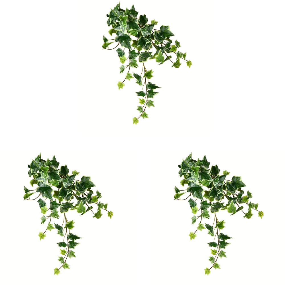 Vickerman 18" Artificial Variegated Ivy Hanging Bush Set of 3