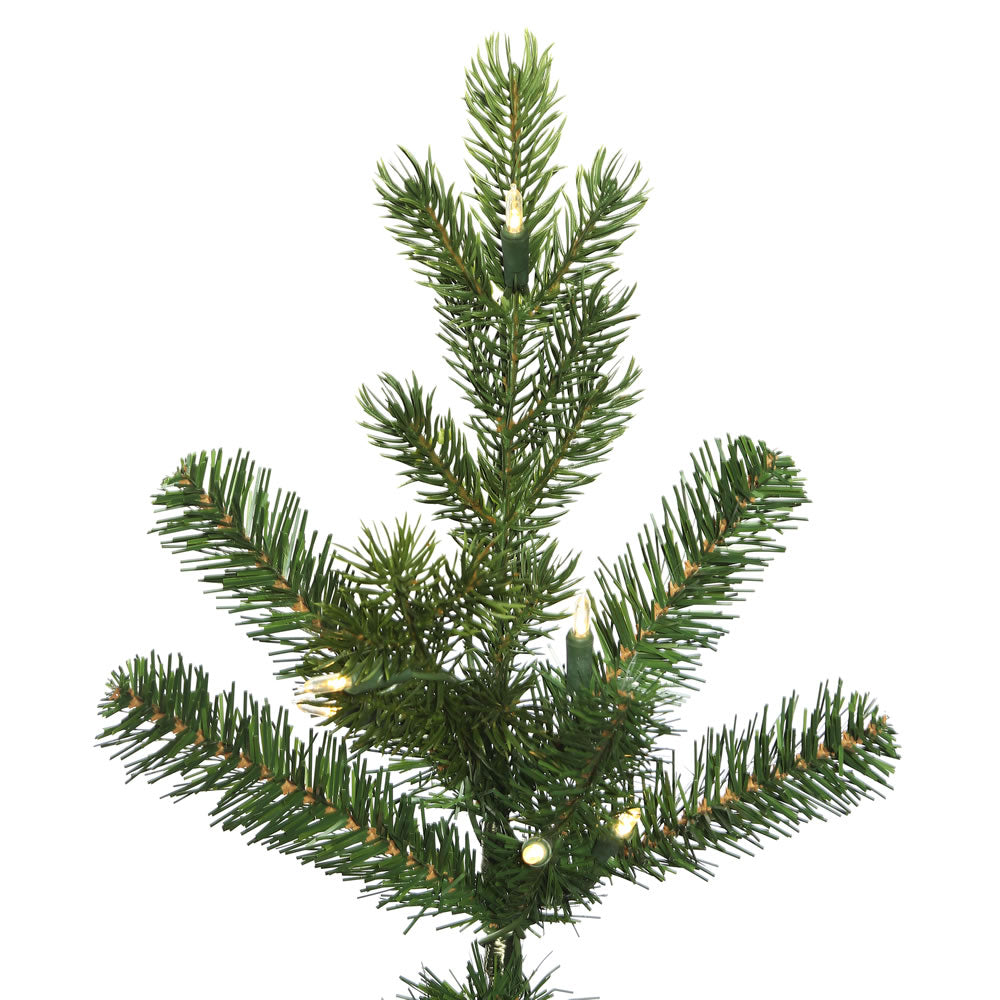 Vickerman 6.5' x 34" Eagle Fraser Fir Slim Artificial Christmas Tree Warm White Dura-lit LED Lights
