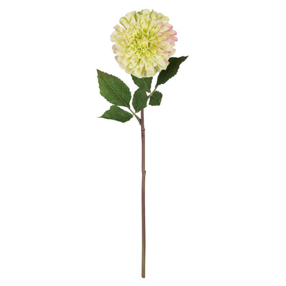Vickerman 24" Artificial Green Zinnia Stem Set of 3