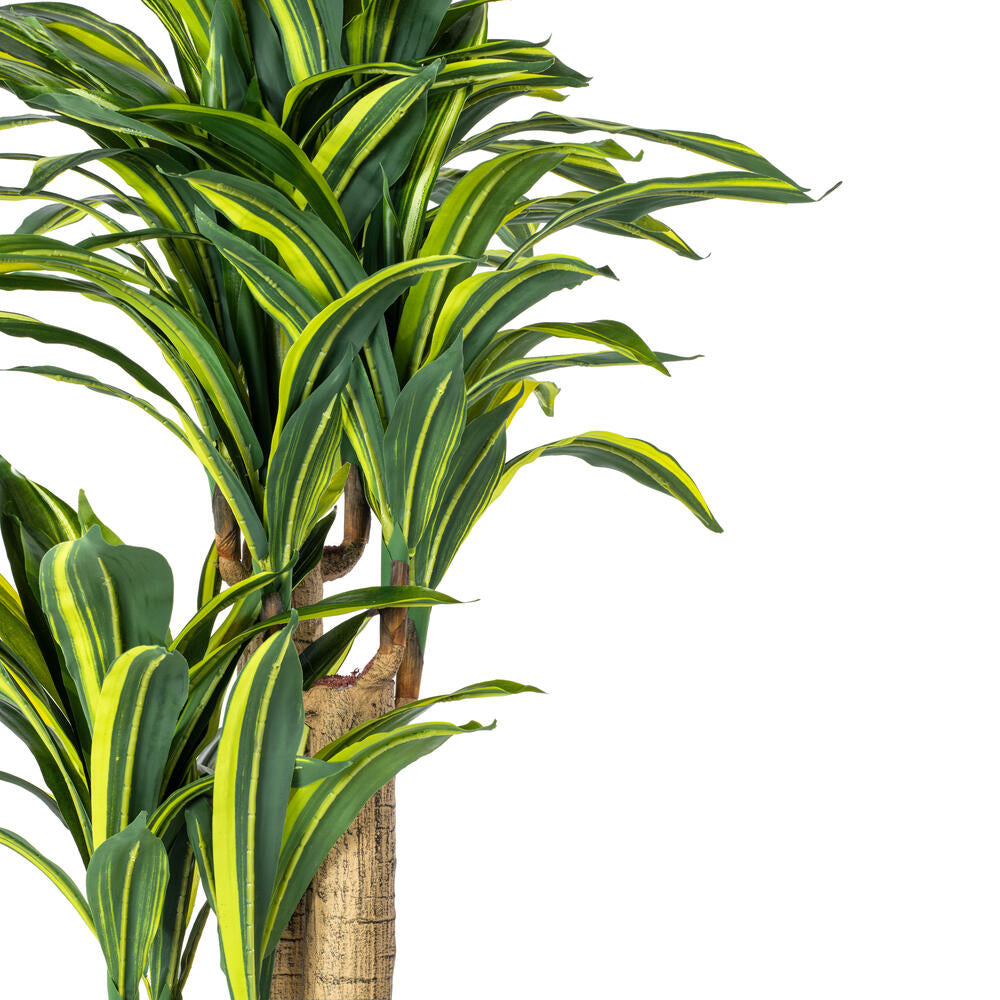 Vickerman 52" Artificial Potted Green and Yellow Real Touch Dracaena Tree.