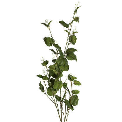 Vickerman 50" Artificial Green Hop Leaf Spray. Includes 2 sprays per pack.