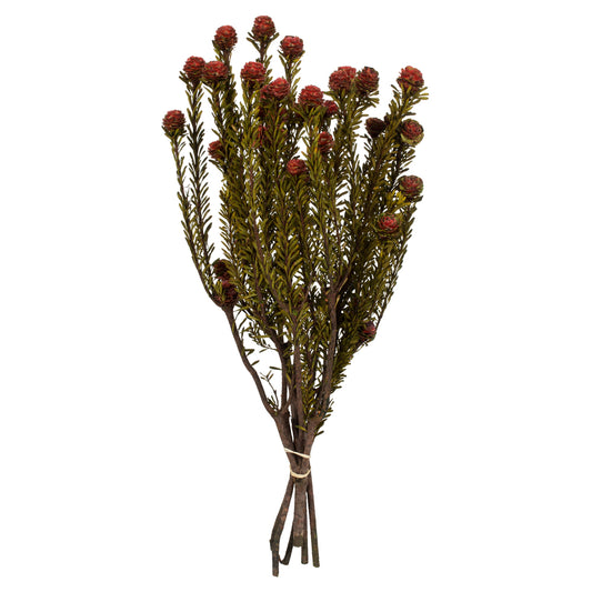 Vickerman 12" Red Tortum Bundle Female Preserved