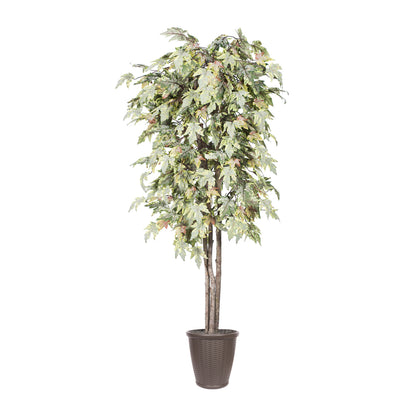 Vickerman 6' Artificial Frosted Maple Deluxe Tree Brown Round Plastic Container.