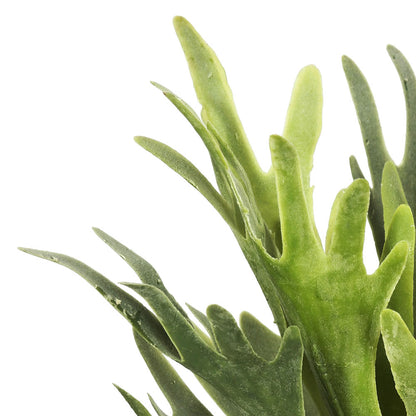 Vickerman 13" Artificial Staghorn Fern Bush.