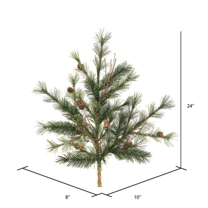 Vickerman 24" Mixed Country Pine Artificial Christmas Spray. Includes 2 sprays per pack.