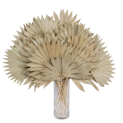 Vickerman Natural Botanicals 20" Palm Sun Spear Natural. Includes 50 pieces per Pack.