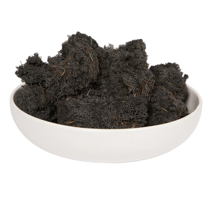 Vickerman Black Preserved Reindeer Moss 2 Lbs per Box