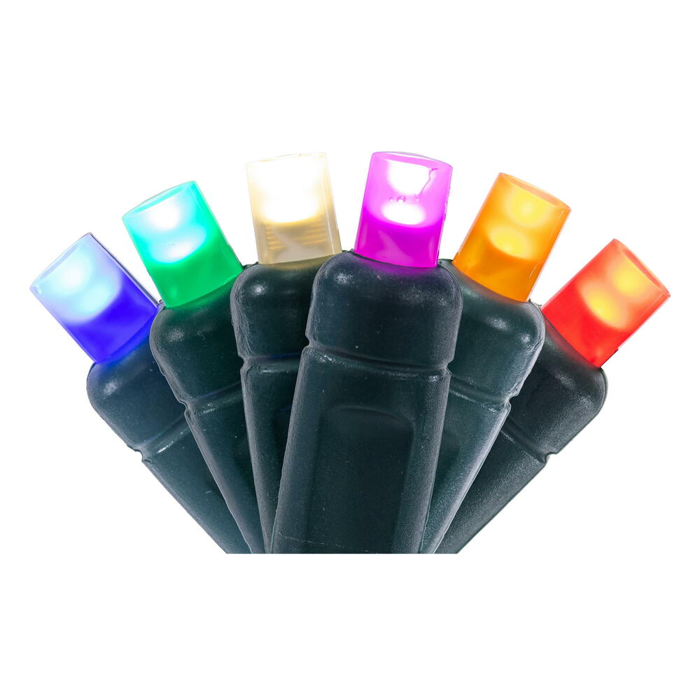 Vickerman 50 Multi-Colored Wide Angle Single Mold LED Light Set