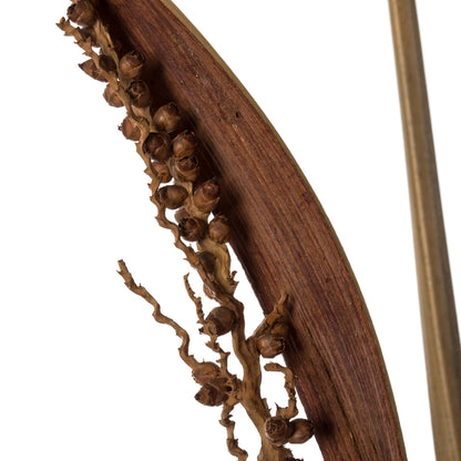 Vickerman 36" Natural Bahia Spears with Seeds 2 pack Dried