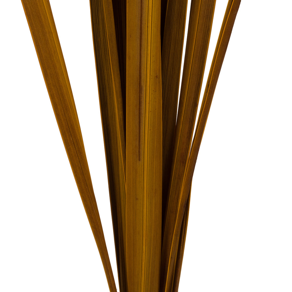 Vickerman 18-30" Aspen Gold Snake Grass. Includes 36 Stems (3 - 12 Stem Bundles) Dried