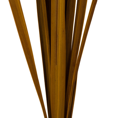 Vickerman 18-30" Aspen Gold Snake Grass. Includes 36 Stems (3 - 12 Stem Bundles) Dried