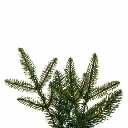 6' x 14" Maine Fraser Fir Garl B/O 50WW