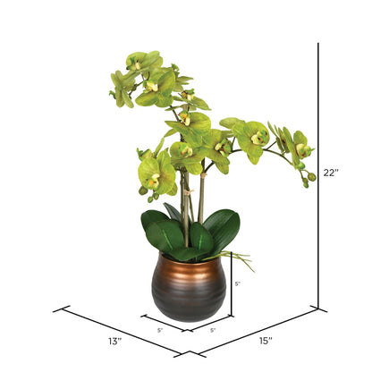Vickerman 22" Artificial Potted Real Touch Green Phalaenopsis Spray.