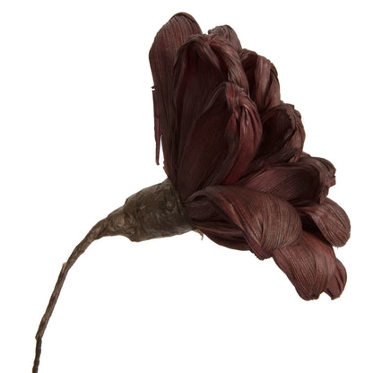 Vickerman Natural Botanicals 6" Brown Maize Dahlia on 18" wire stem- 6 stem/bag. Dried and preserved.