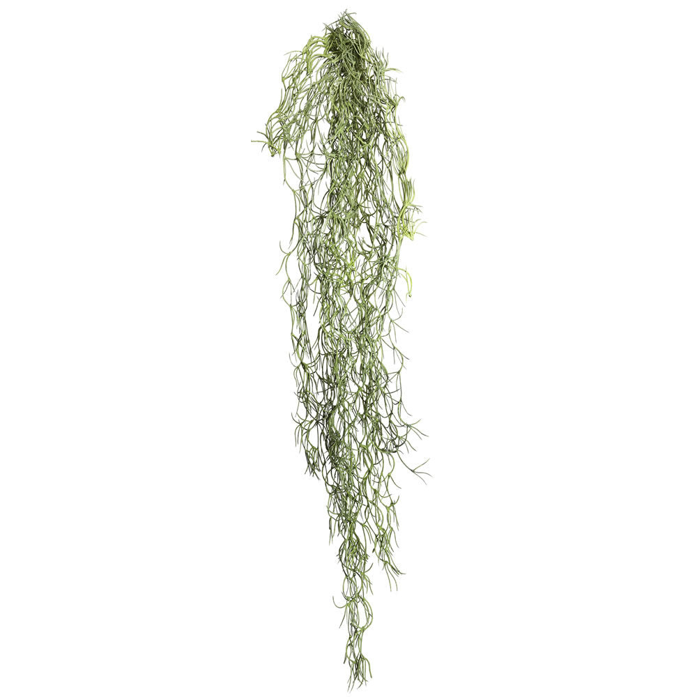 Vickerman 29.5" Artificial Green Tillandsia Root Set of 3