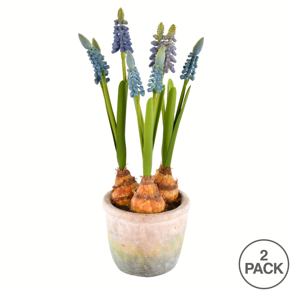 Vickerman 10" Artificial Blue Hyacinths in Container Pack of 2