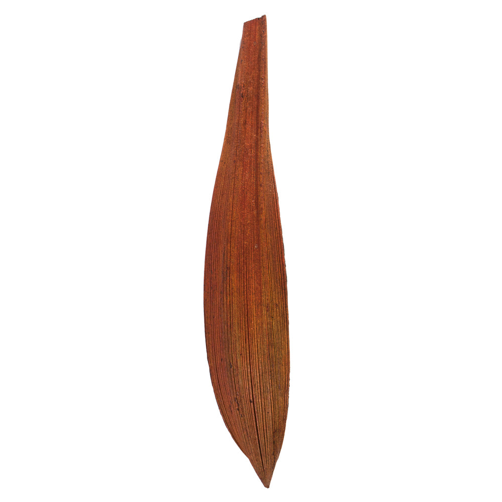 Vickerman 6-12" Dark Brown Palm Paddles Includes 32-37 pieces Dried