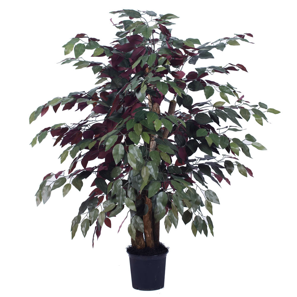 Vickerman 4' Artificial Capensia Extra Full Bush Black Plastic Pot.
