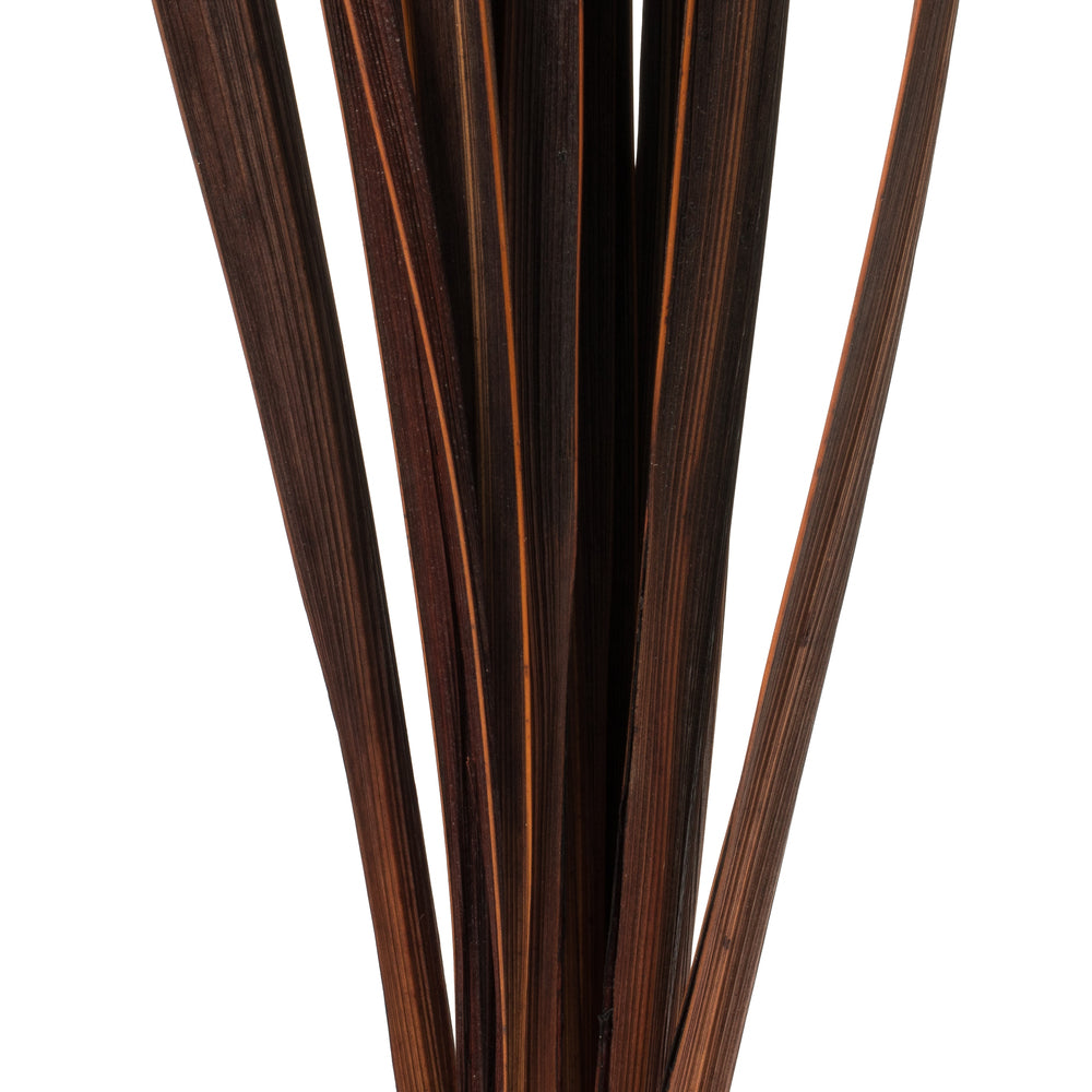 Vickerman 18-30" Brown Snake Grass. Includes 36 Stems (3 - 12 Stem Bundles) Dried