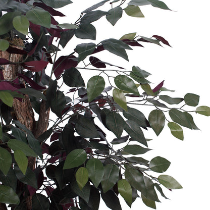 Vickerman 4' Artificial Capensia Extra Full Bush Black Plastic Pot.